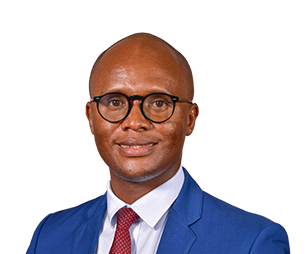 Hon. Solly Malatsi, MP